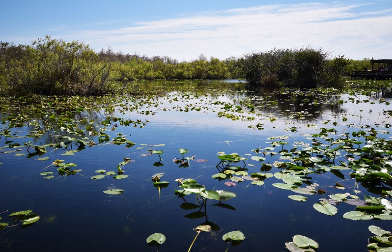 Everglades National Park 1